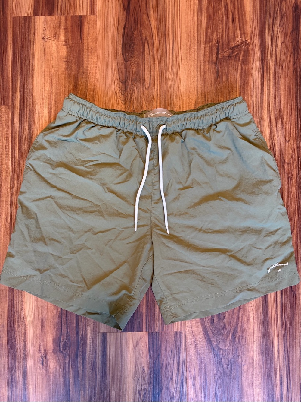 PacSun- Swim Shorts